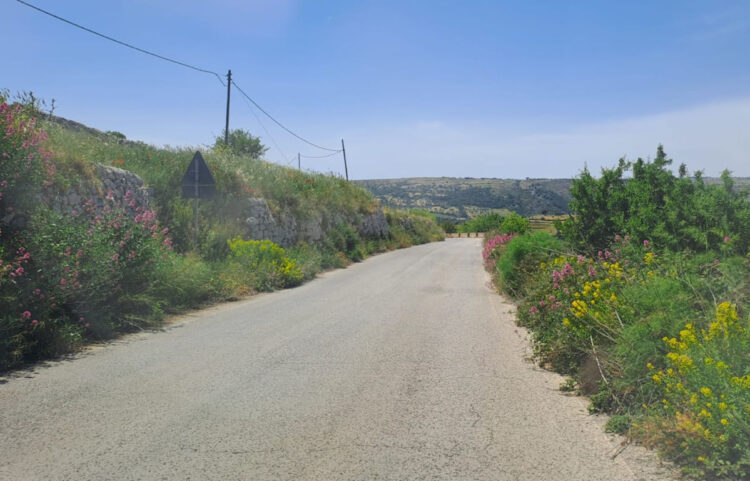 Ragusa: che fine ha fatto l’attuazione del bando per il diserbo e la bonifica della strade comunali?