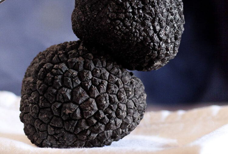 Tartufo siciliano: prima Fiera Mercato a Chiaramonte Gulfi