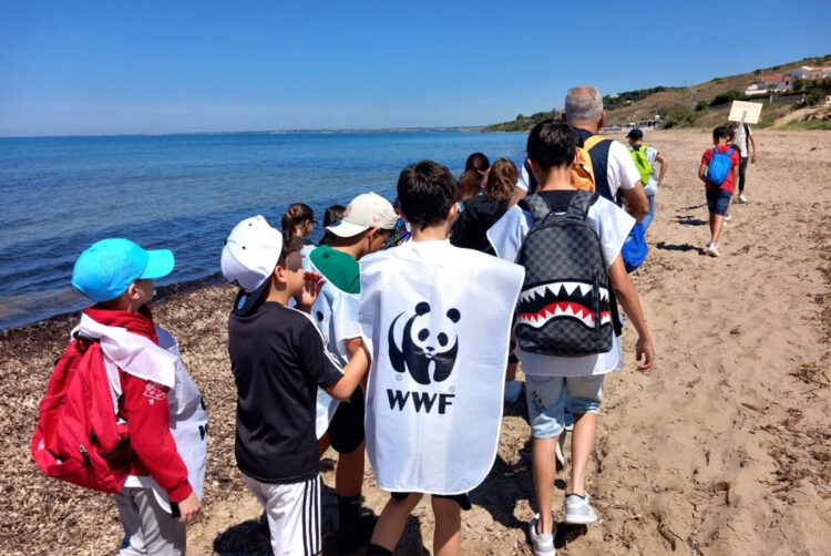 Il WWF chiede collaborazione per il Progetto Tartarughe Caretta Caretta