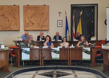 Incremento della produzione di zucchine: innovazioni agronomiche illustrate a Ispica