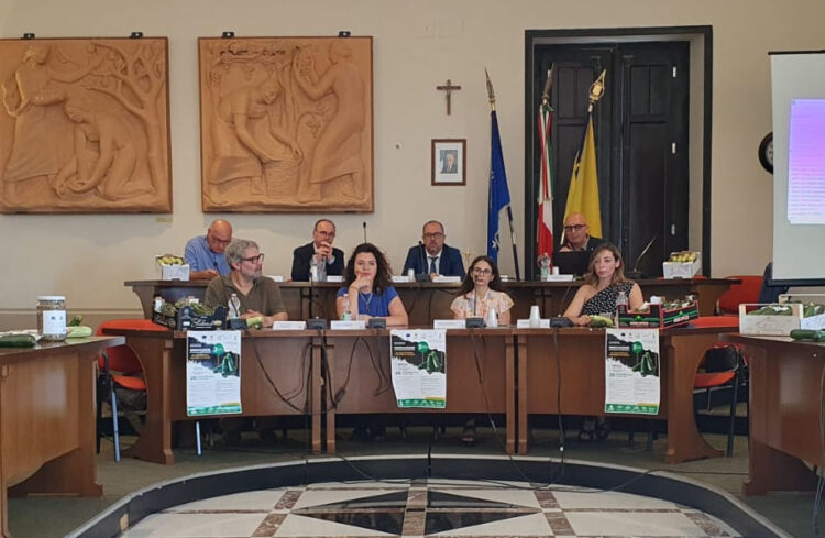 Incremento della produzione di zucchine: innovazioni agronomiche illustrate a Ispica