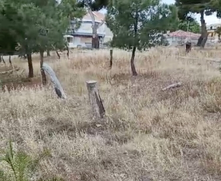 Villetta di via Caboto a marina di Ragusa: ai minimi termini