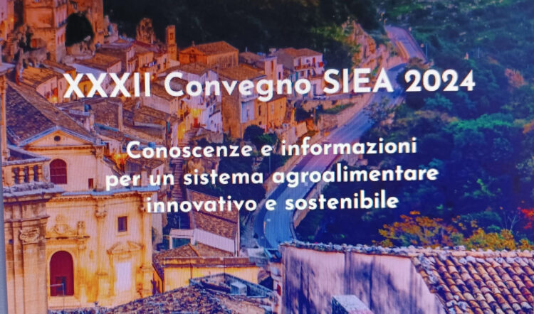 Convegno Siea a Ragusa Ibla