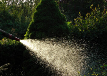 Emergenza idrica a Ragusa: vietato innaffiare piante con acqua potabile o riempire piscine