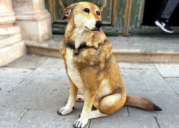 Italo torna a casa: un bellissimo regalo per Scicli