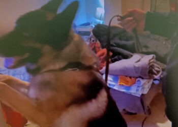 Operazione antimafia Fenice tra Ragusa e Catania: Straordinario risultato dello Stato