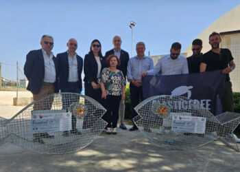 Modica: un pesce mangiaplastica davanti le scuole