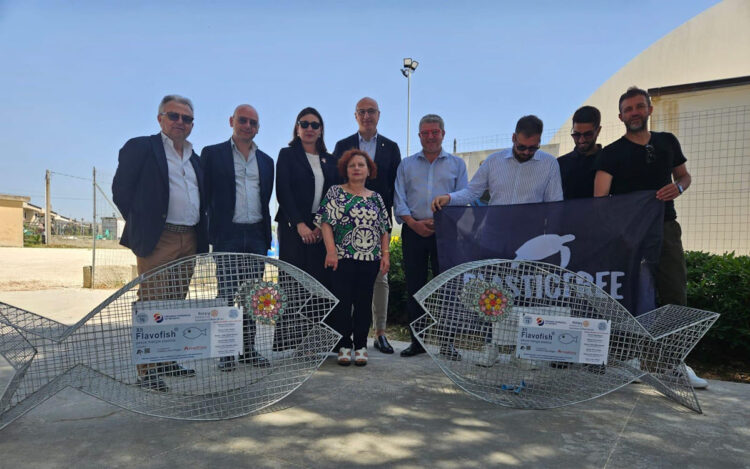 Modica: un pesce mangiaplastica davanti le scuole