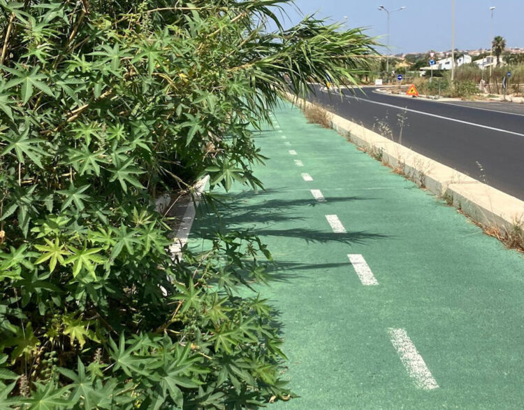 Pista ciclabile a Marina di Ragusa: uno spettacolo avvilente