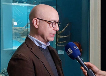 Il Direttore Gianni Insacco racconta il Museo di Comiso