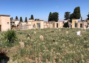 Il cimitero comunale di Comiso terra di nessuno