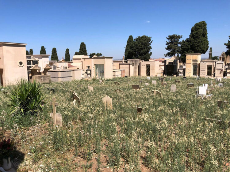 Il cimitero comunale di Comiso terra di nessuno