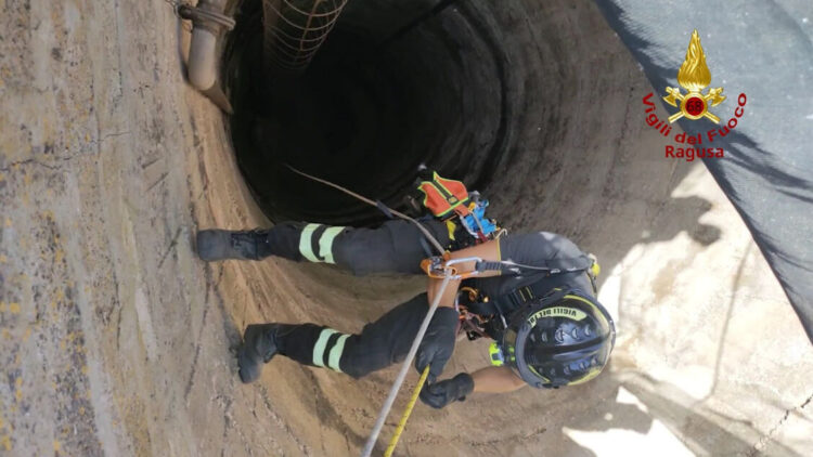 Vittoria, capra cade in un pozzo di 15 metri: salvata