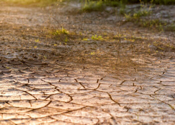 Agricoltura: interventi fondamentali per il sud est: dalla siccità a controlli dei prezzi