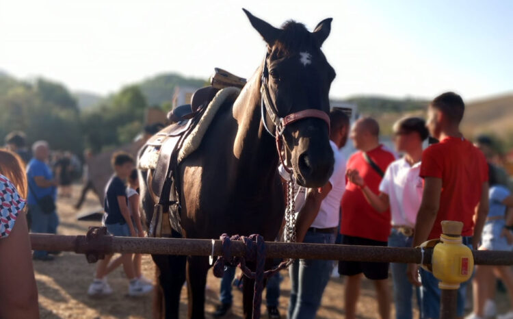 La secolare Fiera di San Bartolomeo a Giarratana non tradisce le attese
