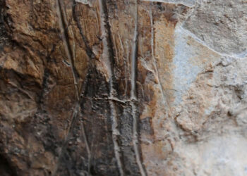 La Preistoria nel territorio di Termini Imerese