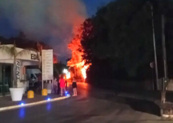 Incendio in via Risorgimento, a fuoco albero e cabina Enel