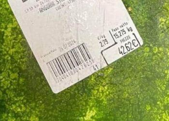 Anguria a 42 euro a Porto Cervo: la foto è virale sui social e scoppia la polemica