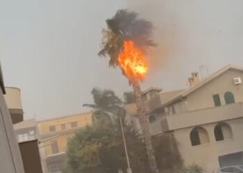 Cella temporalesca tra Modica e Ispica: fulmine cade su un palma