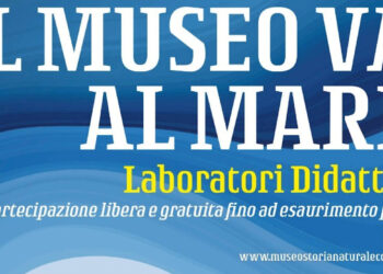 Il Museo di Comiso a Modica: alla scoperta dei cetacei