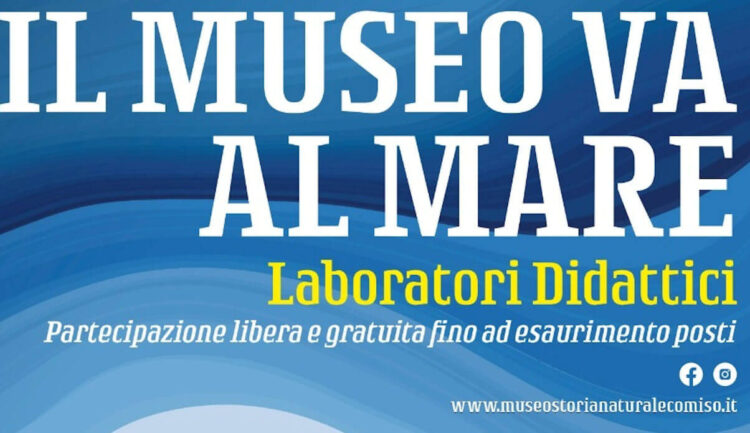 Il Museo di Comiso a Modica: alla scoperta dei cetacei