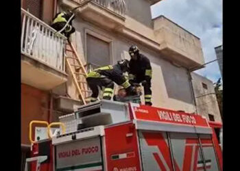 Maltrattamento di animali. Polizia Locale: deferita una donna