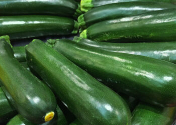 Zucchina verde di Comiso: che fine ha fatto il riconoscimento Igp?