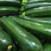 Zucchina verde di Comiso: che fine ha fatto il riconoscimento Igp?