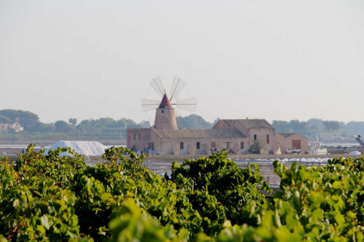 le saline mozia