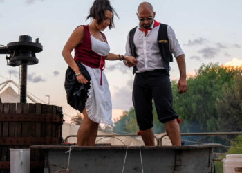 sagra della vendemmia a Pedalino