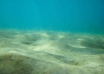 Scoperti vulcani di fango nel mar Ionio: così la Sicilia si allontana dalla Calabria