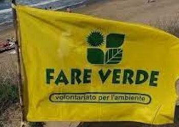 Fare Verde Vittoria: consulta per l'ambiente