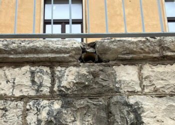 Comiso, cadono calcinacci dalla scuola: bambina ferita