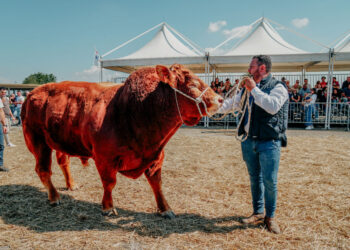 L'assessore all'Agricoltura Barbagallo inaugura la Fiera Agroalimentare Mediterranea
