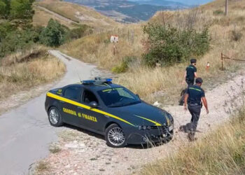 Enna, frodi in agricoltura: sequestrati bene e denaro per 170mila euro