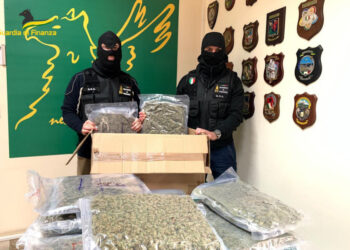 Gdf Catania: sequestrati 10 kg tra hashish e marijuana