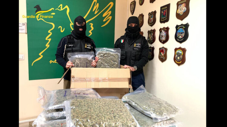 Gdf Catania: sequestrati 10 kg tra hashish e marijuana