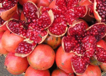 Il melograno: un dono dell’autunno che unisce sapore e leggenda