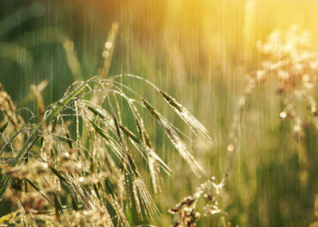 Maltempo in Sicilia: le previsioni meteo di domani