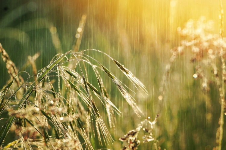 Maltempo in Sicilia: le previsioni meteo di domani
