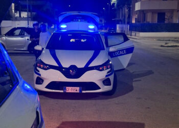 Polizia Locale Comiso: il bilancio dei controlli