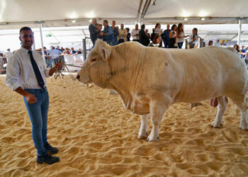 Ragusa, migliaia di presenze alla Fiera Agroalimentare Mediterranea