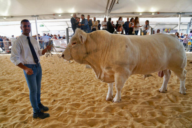 Ragusa, migliaia di presenze alla Fiera Agroalimentare Mediterranea