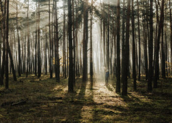 Dispersi sulle Madonie, 4 ragazzi salvati grazie all'SOS lanciato dall'iPhone senza segnale