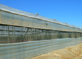 Caporalato Vittoria, sfruttamento di 4 extracomunitari: denunciato imprenditore