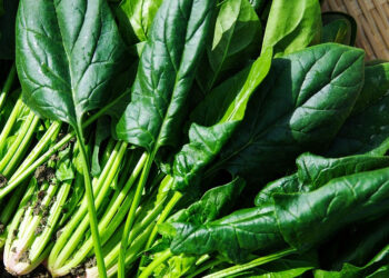 Mangiare spinaci fa bene alla salute: perchè dovresti mangiarli regolarmente