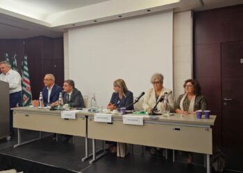 cisl vera carasi