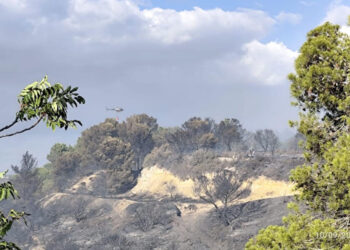 Vasto incendio nella Valle dell'Ippari a Vittoria