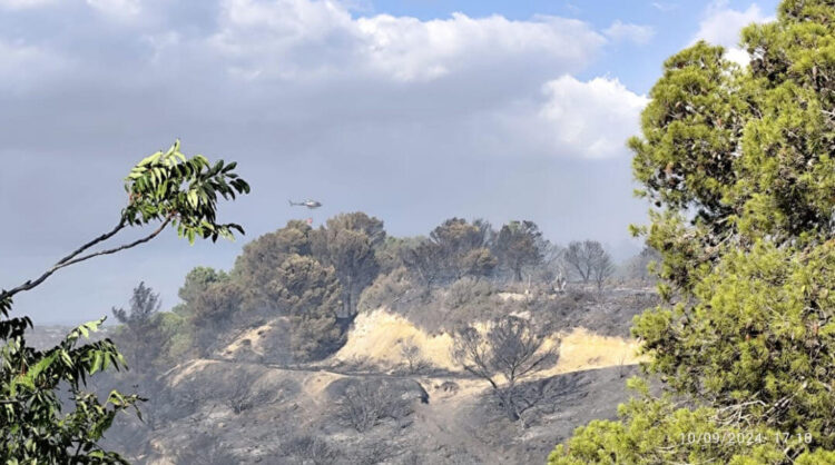 Vasto incendio nella Valle dell'Ippari a Vittoria