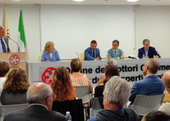 L’attività del consulente tecnico d’ufficio a Ragusa